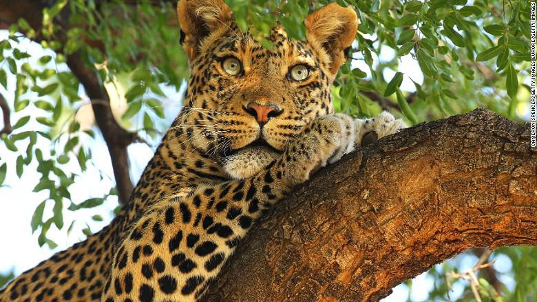 botswana