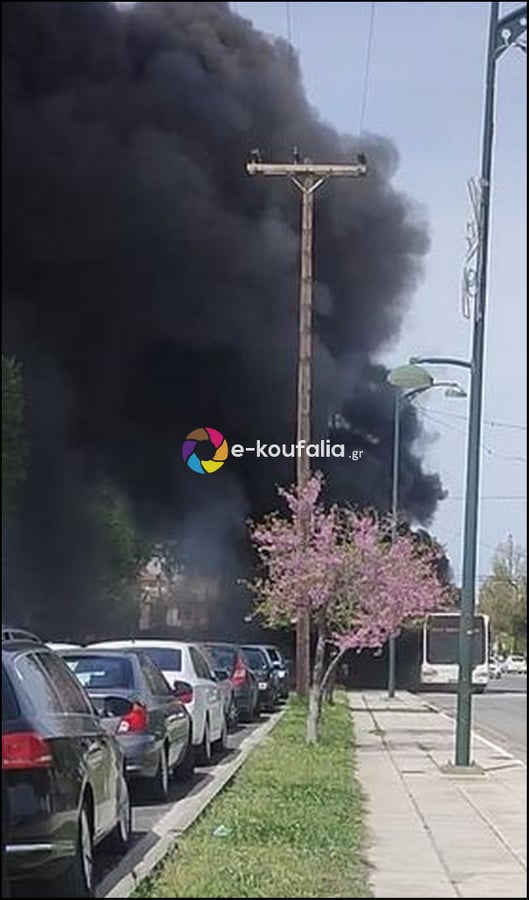 fotia-leoorio-1.jpg
