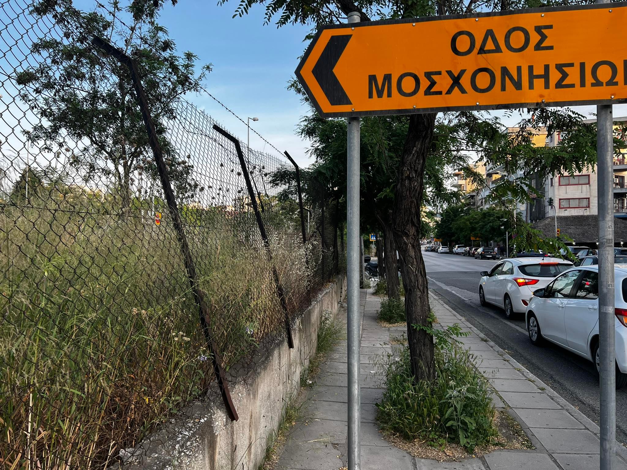 βιλα Αλλατινη.jpg