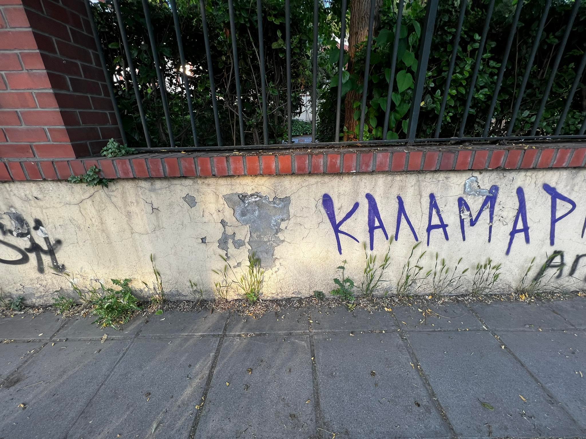 280571897-1053286985587807-1488380751141019233-n.jpg