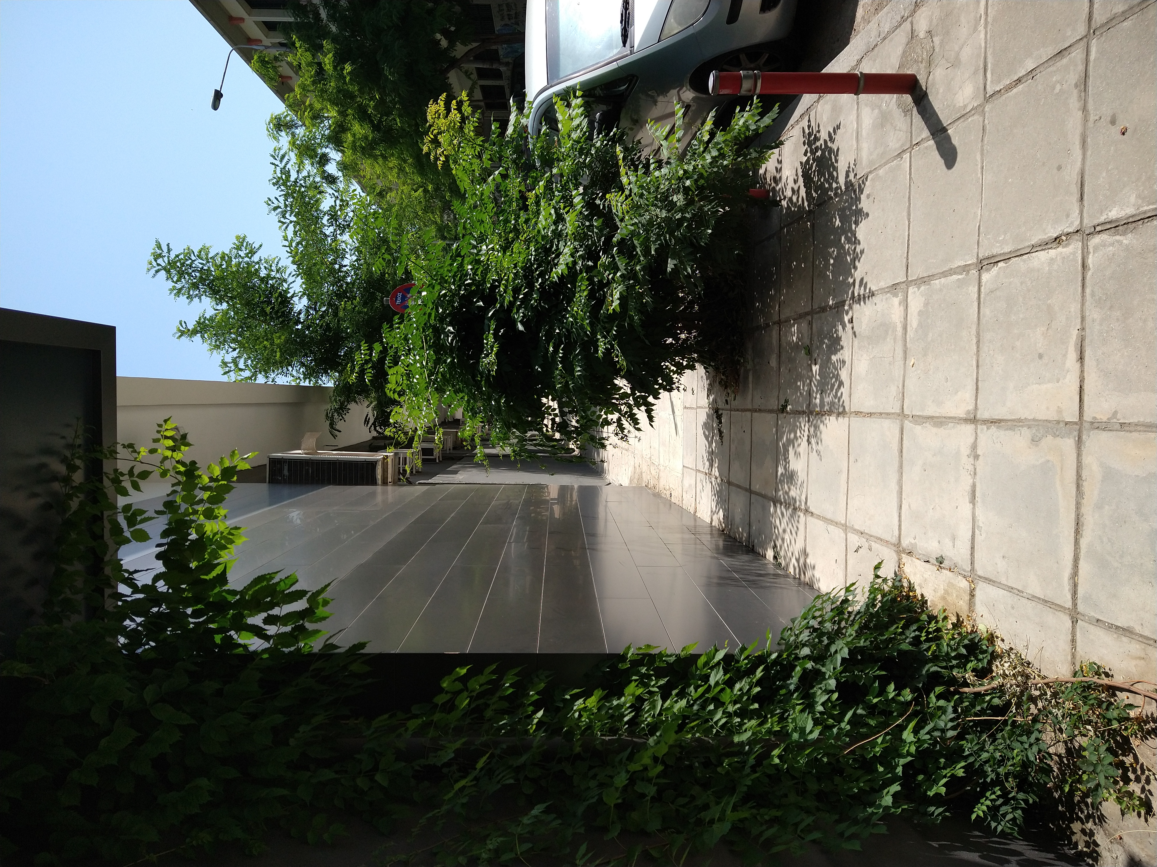 img-20220525-113813234.jpg