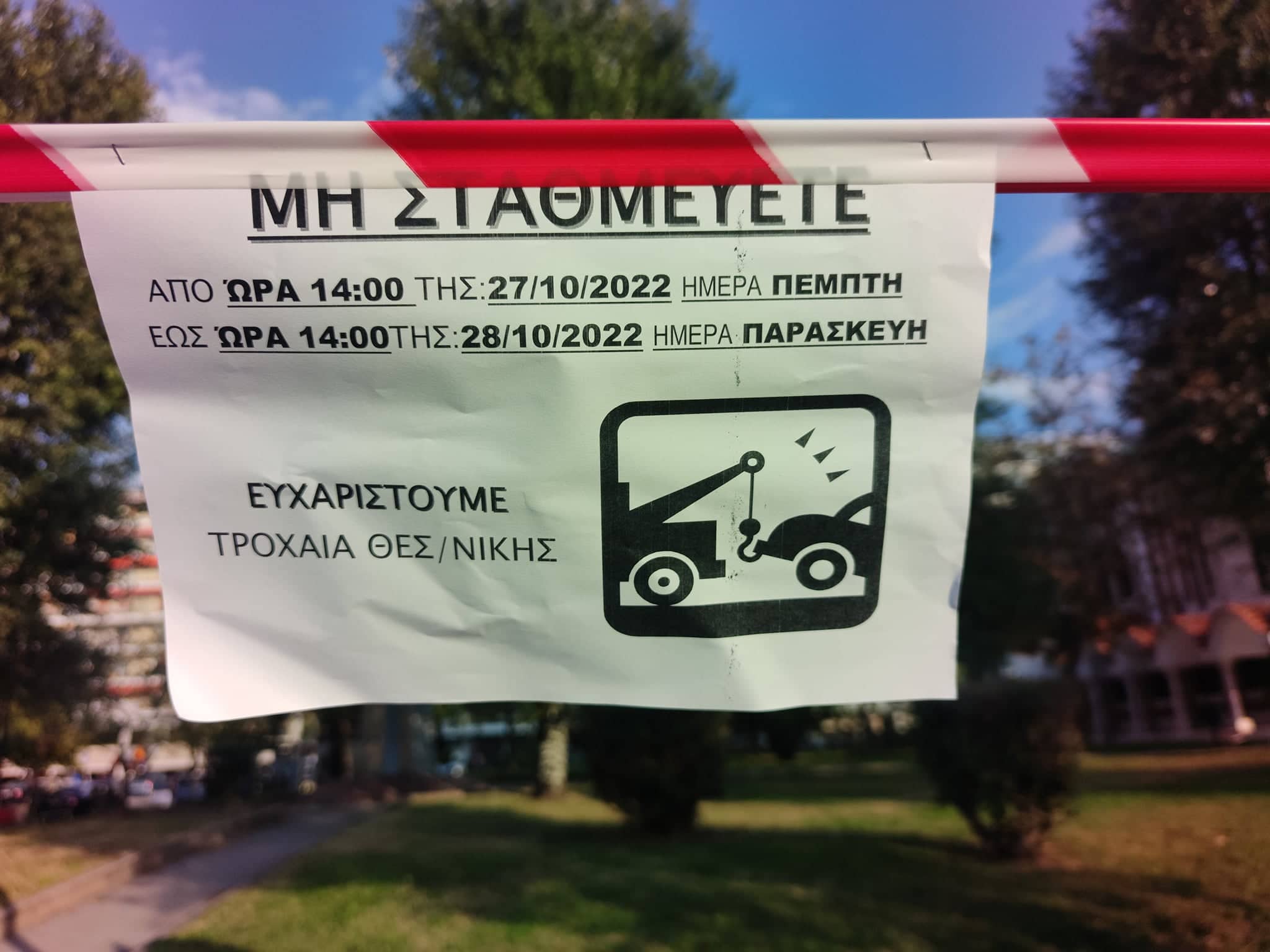 312549344-1832222313789305-5099283396138983797-n.jpg