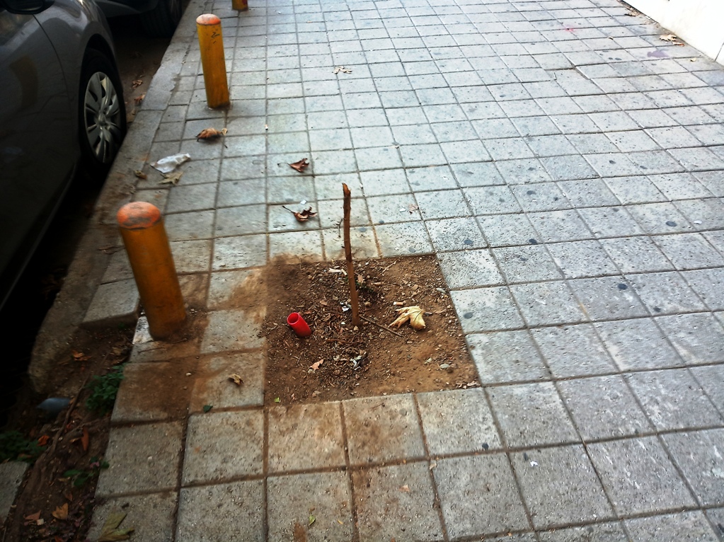 img-20221101-135938.jpg