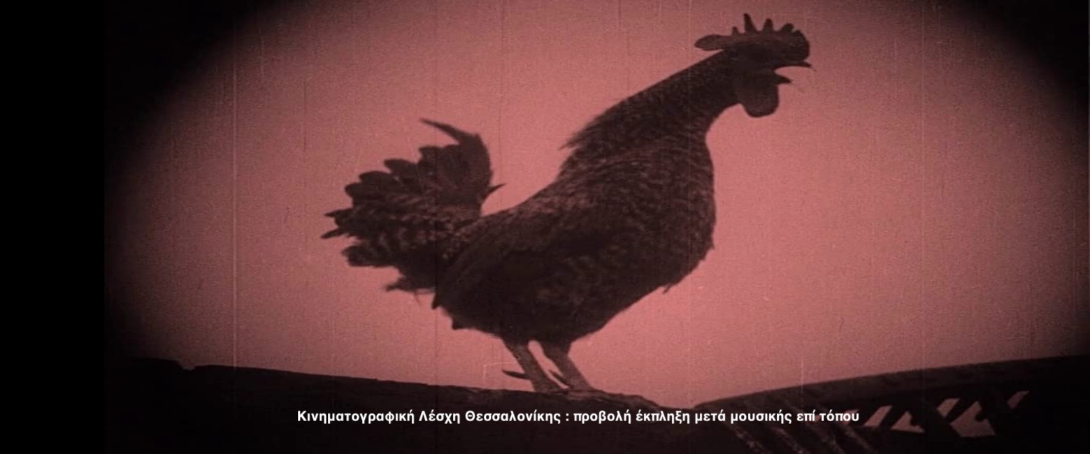 nosferatu-rooster.jpg