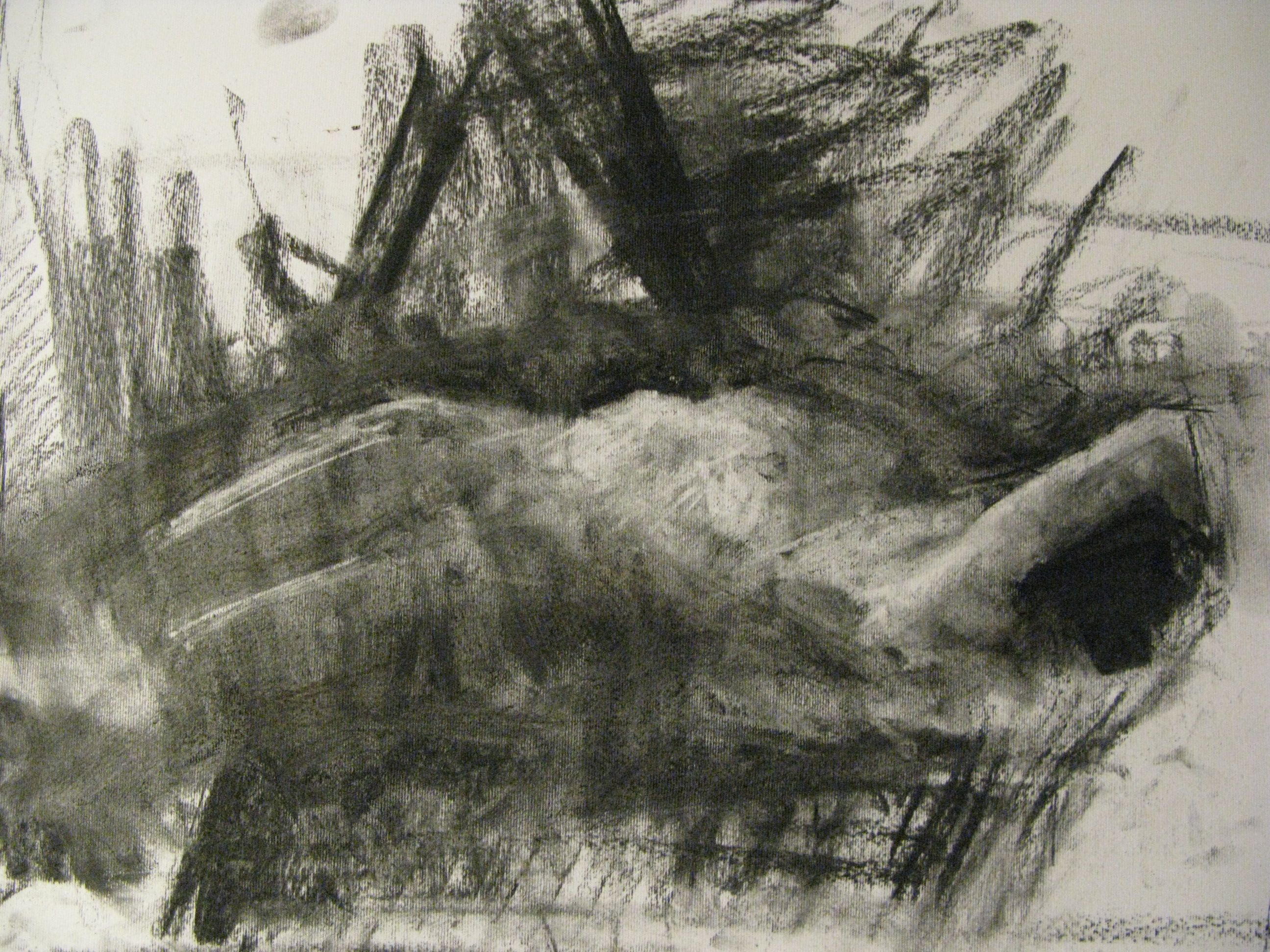 foto-8-nude-35x50cm-charcoal.JPG