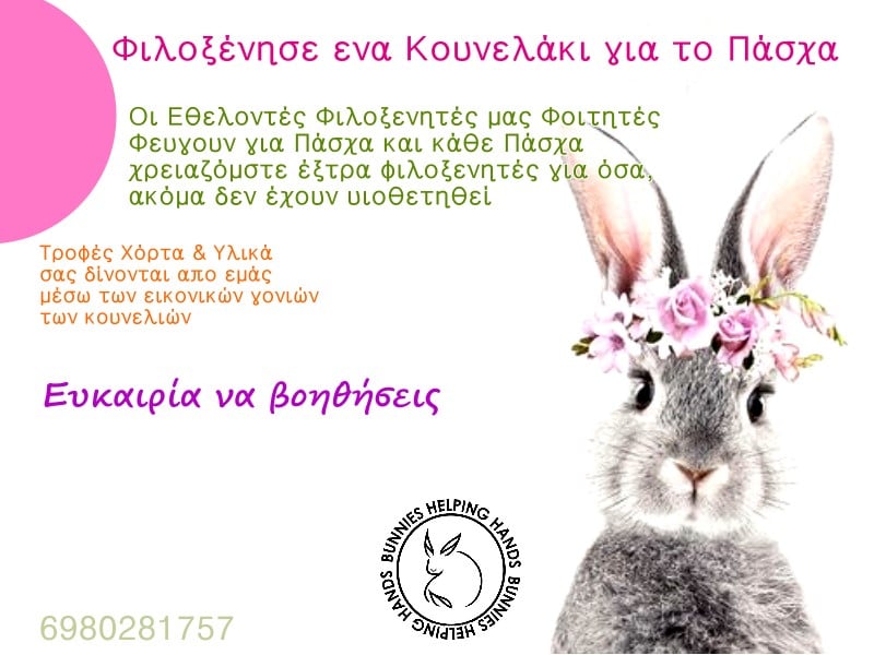 bunnies-helping-hands-pasxa.jpg