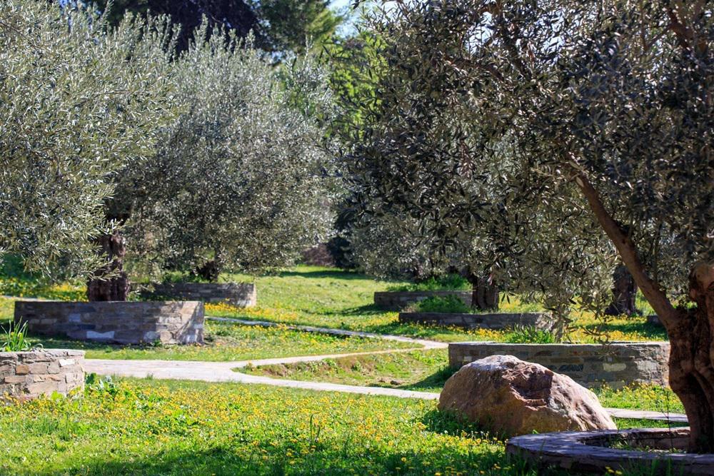 Αμερικάνικη Γεωργική Σχολή (4)