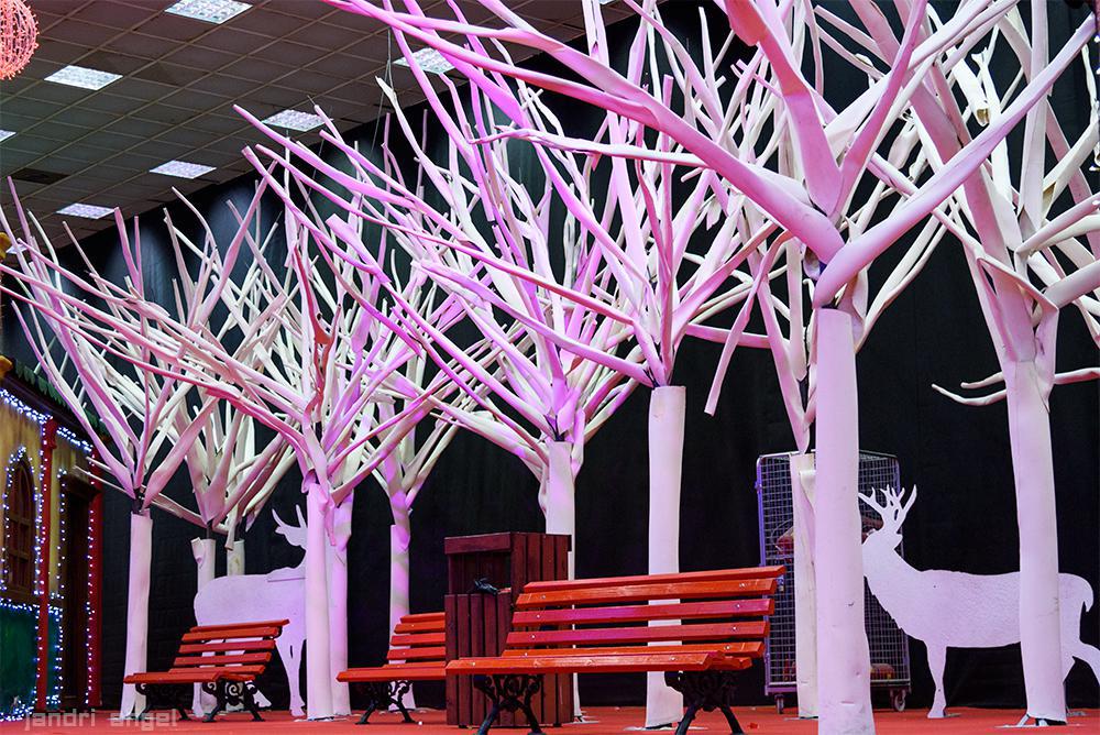 Αστερόκοσμος (9)