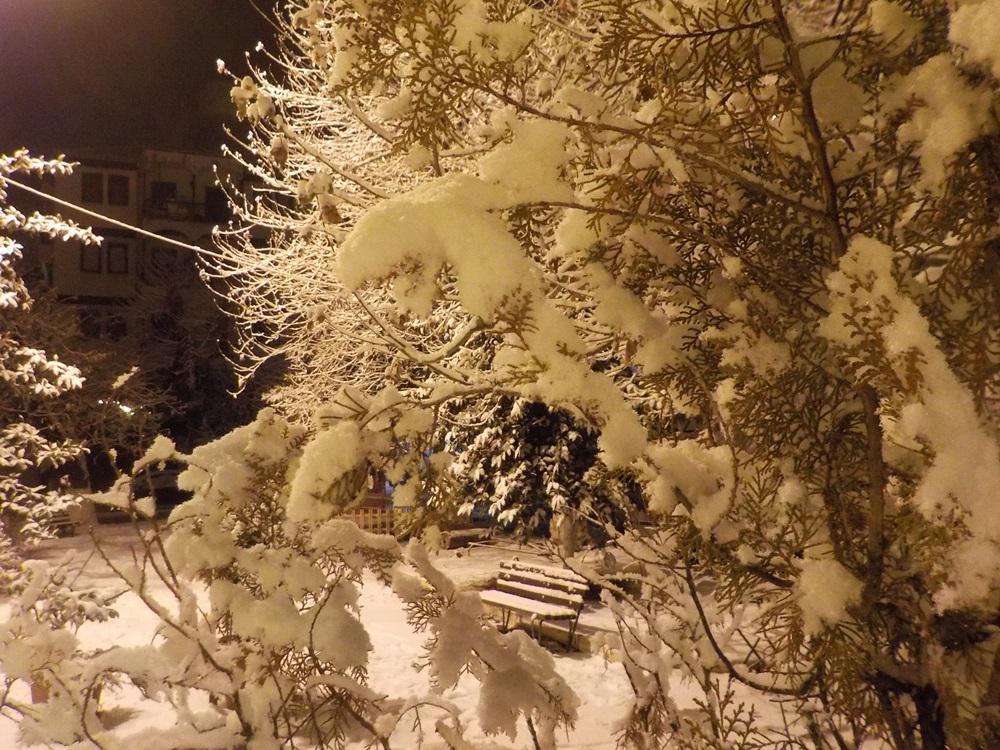 Βόρεια παραλία (4)