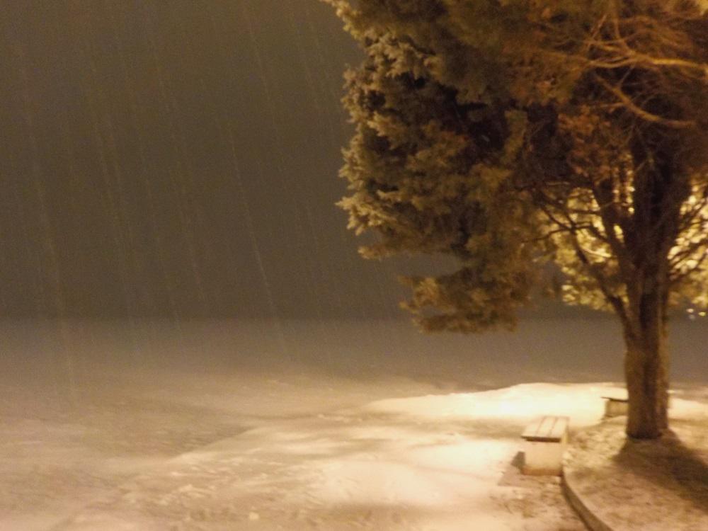 Βόρεια παραλία (5)