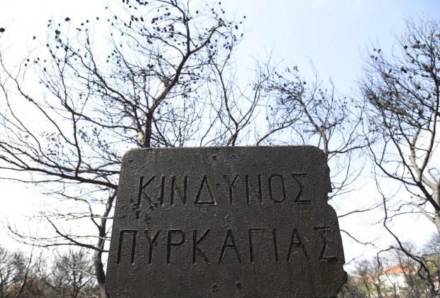 Δασικές Πυρκαγιές 2