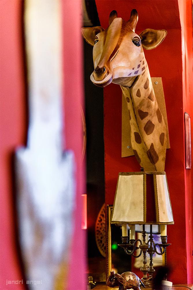 Διατηρητέο (42)