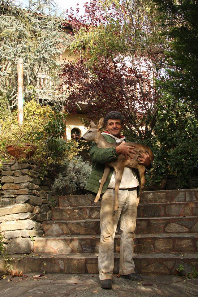 Η σωτηρία της ζαρκαδούλας (1)