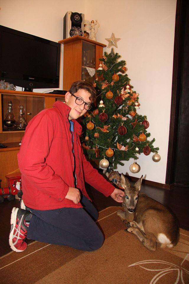 Η σωτηρία της ζαρκαδούλας (3)