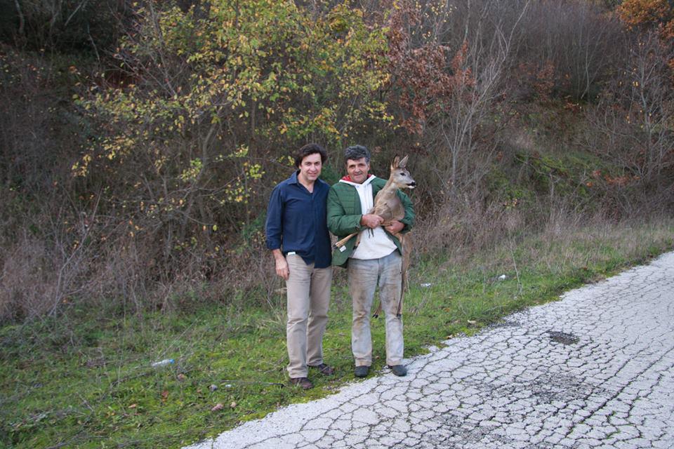 Η σωτηρία της ζαρκαδούλας (5)