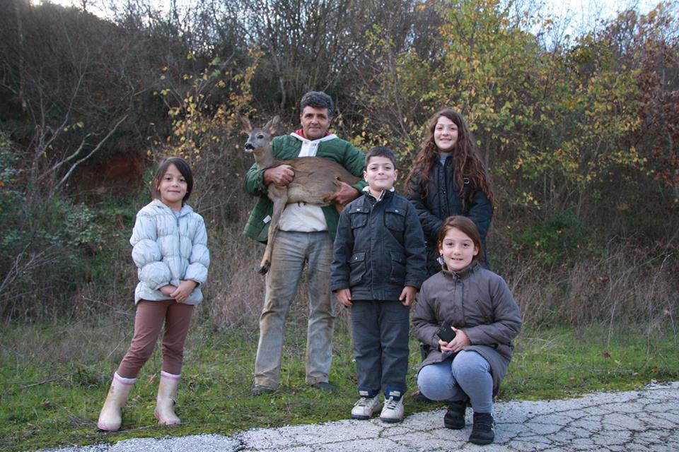 Η σωτηρία της ζαρκαδούλας (6)