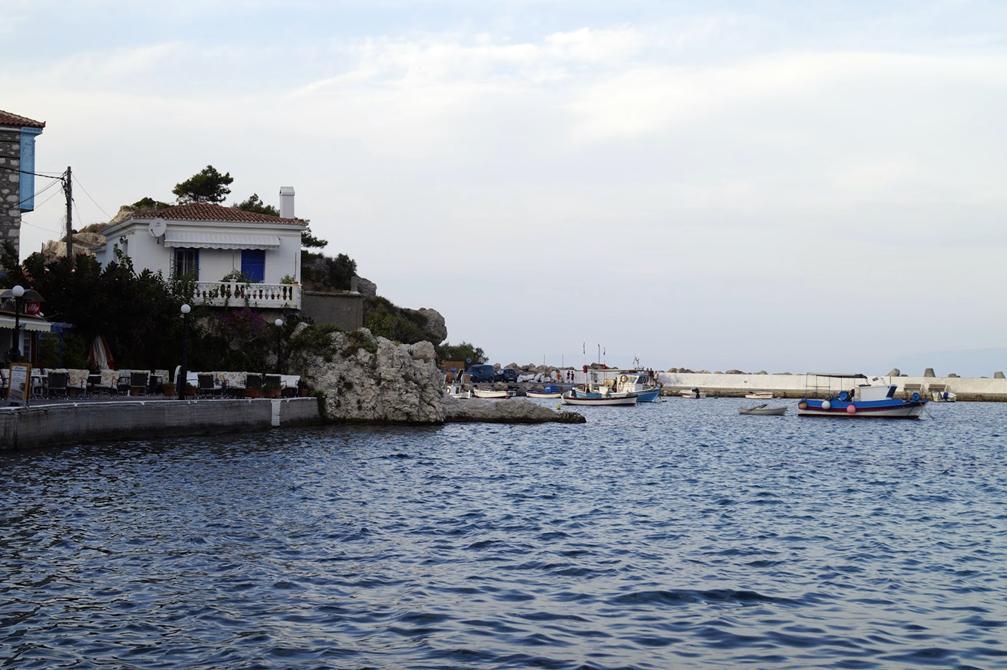 Κοκκάρι
