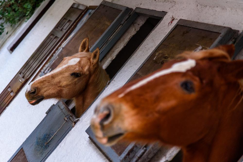 Κτήμα Δέδα (33)