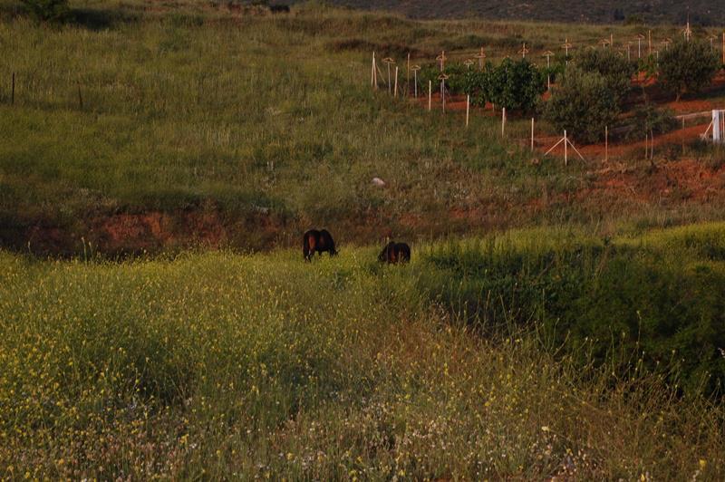 ΜΑΘΗΜΑ - ΛΗΨΗ 3 032