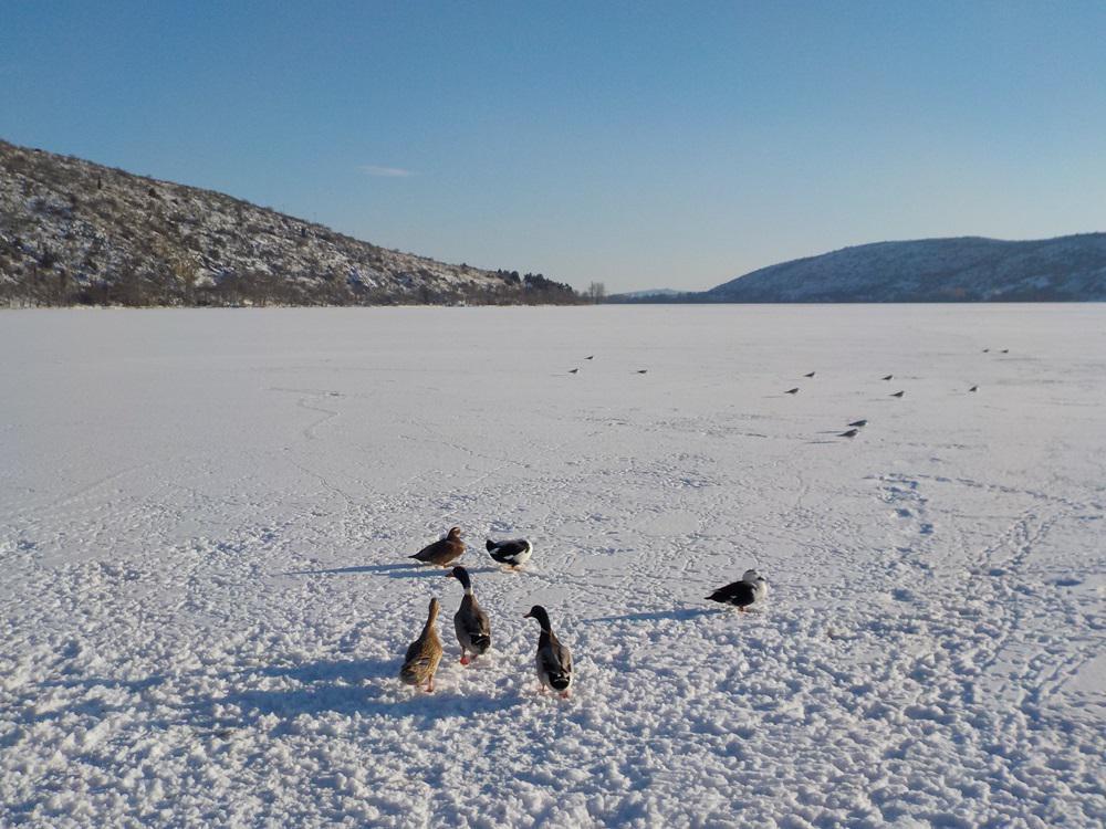 Νότια παραλία (μέρα)