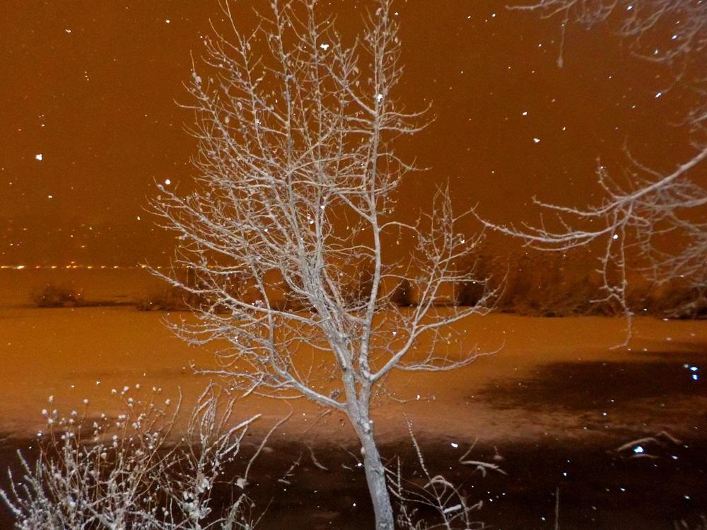 Νότια παραλία (1)