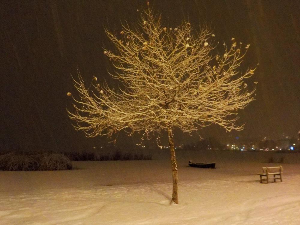 Νότια παραλία (3)