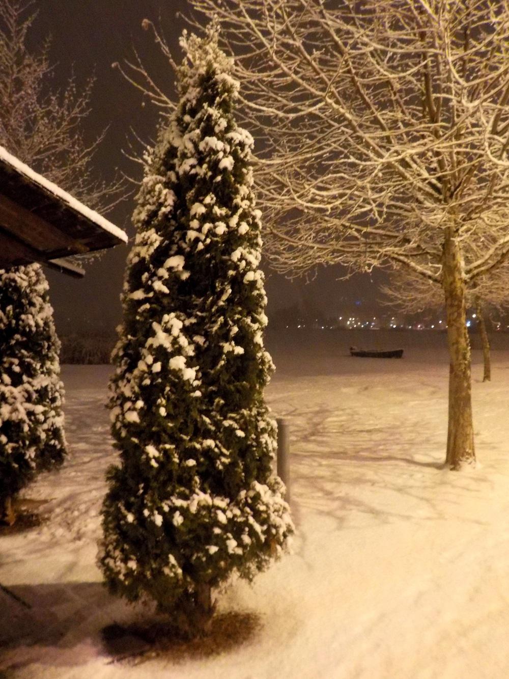 Νότια παραλία (4)