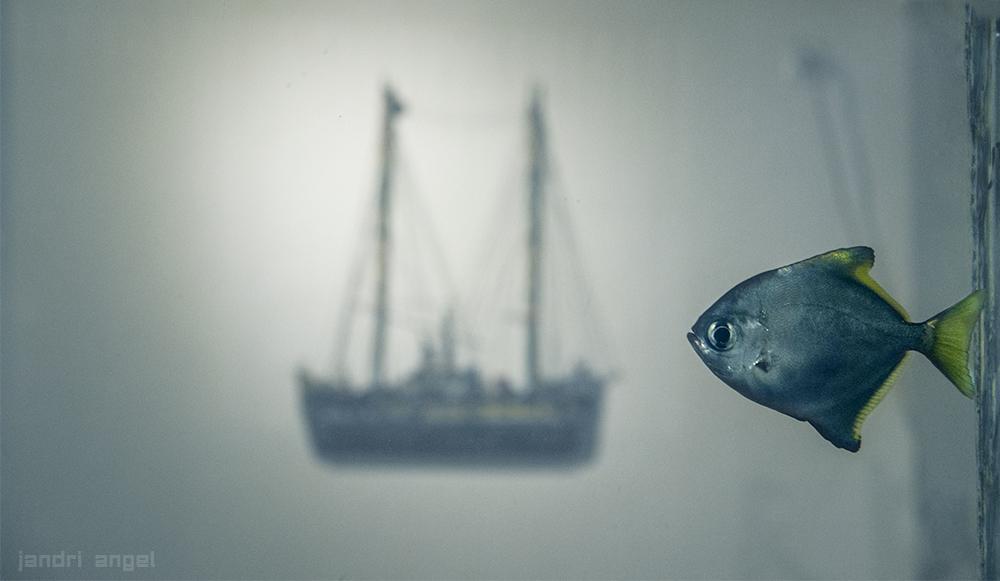 Ουζερί Αγορά (18)