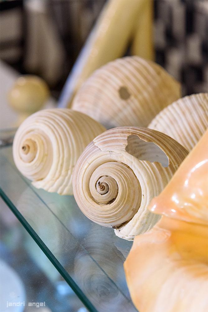 Ουζερί Αγορά (20)