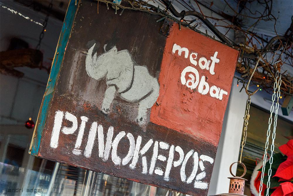 Ρινόκερος (12)