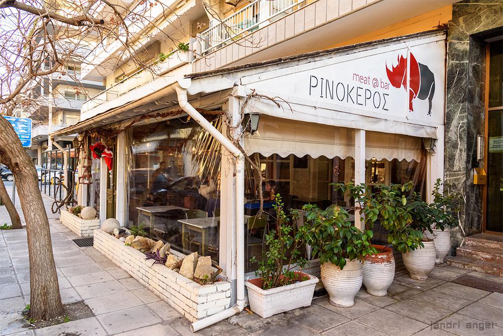 Ρινόκερος (14)