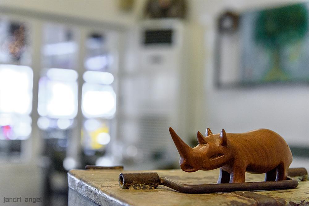 Ρινόκερος (16)