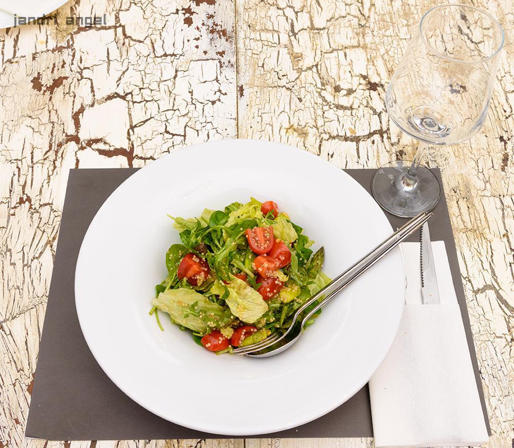 Ρινόκερος (18)