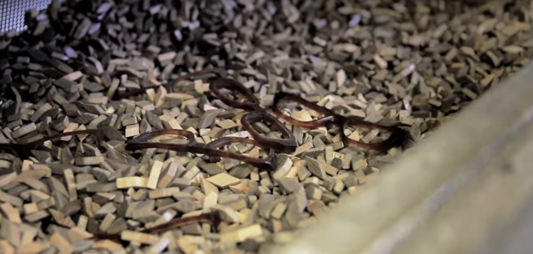 Στιγμιότυπο 2016-02-12, 7.52.19 μμ