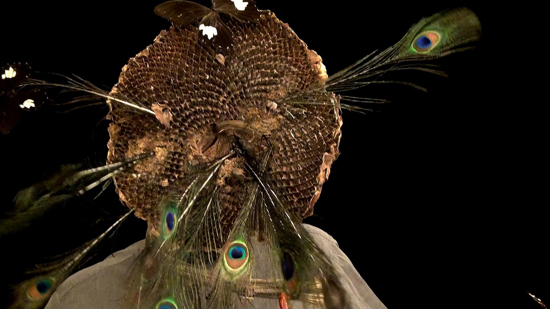 Φ.Τσιτσόπουλος3