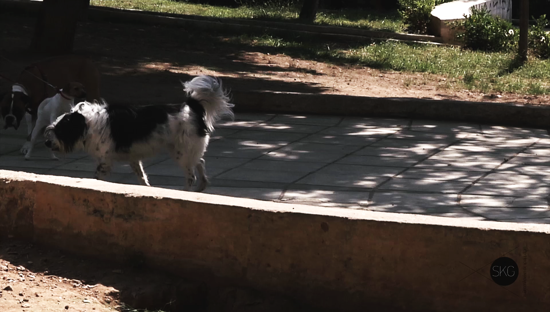 αρχαία αγορά 4