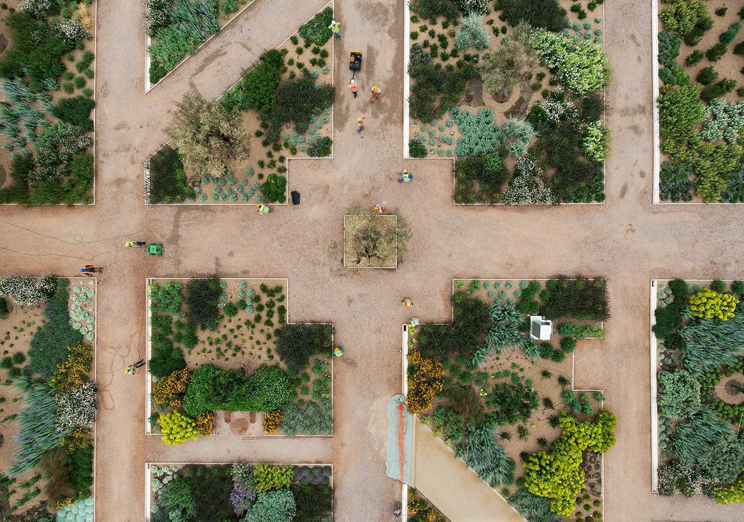 γερόλυμπος 14