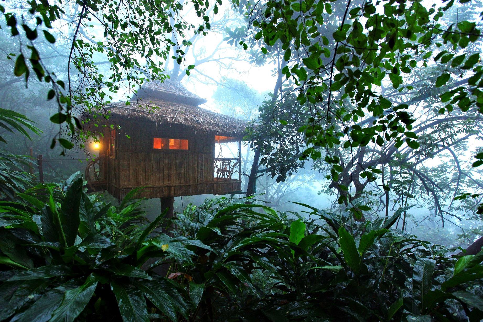 δεντρόσπιτα 1