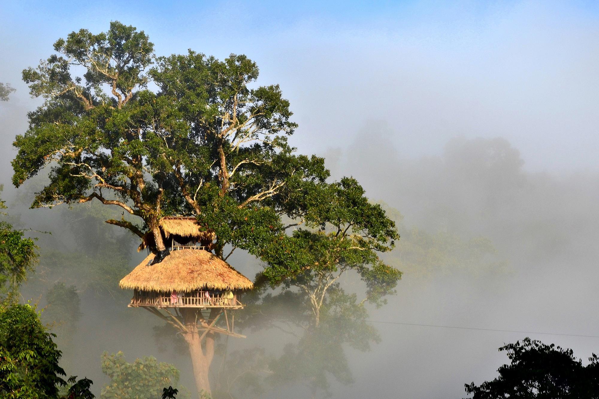 δεντρόσπιτα 2