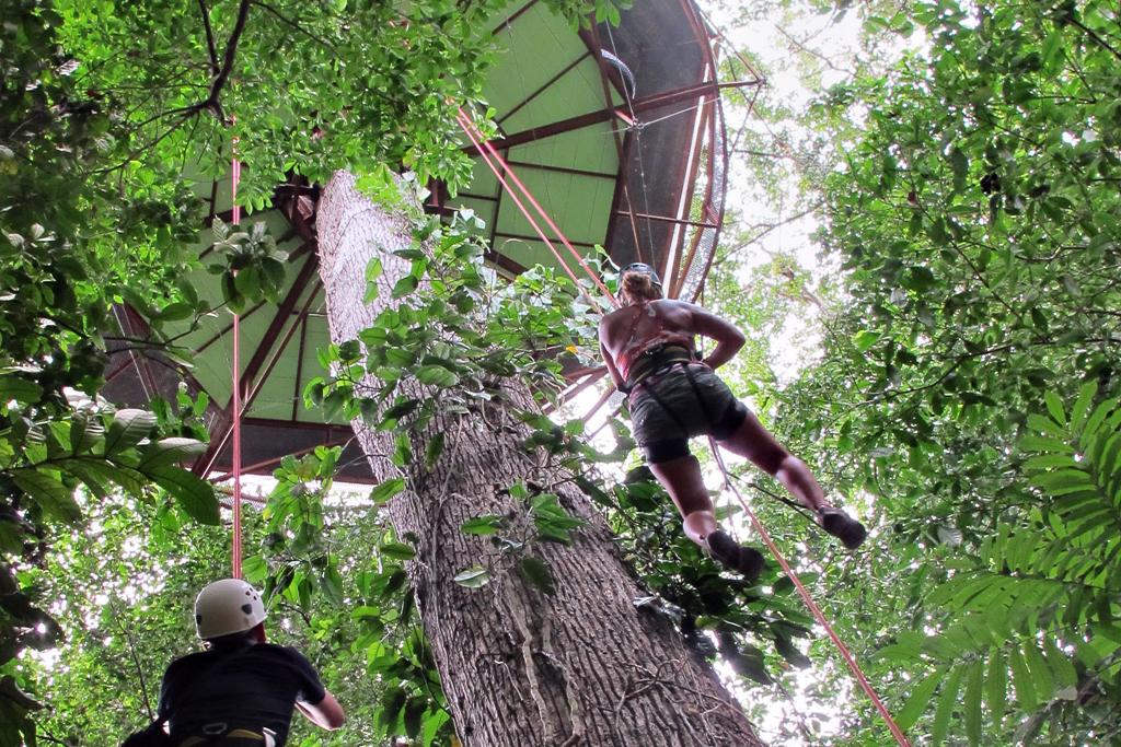 δεντρόσπιτα 3