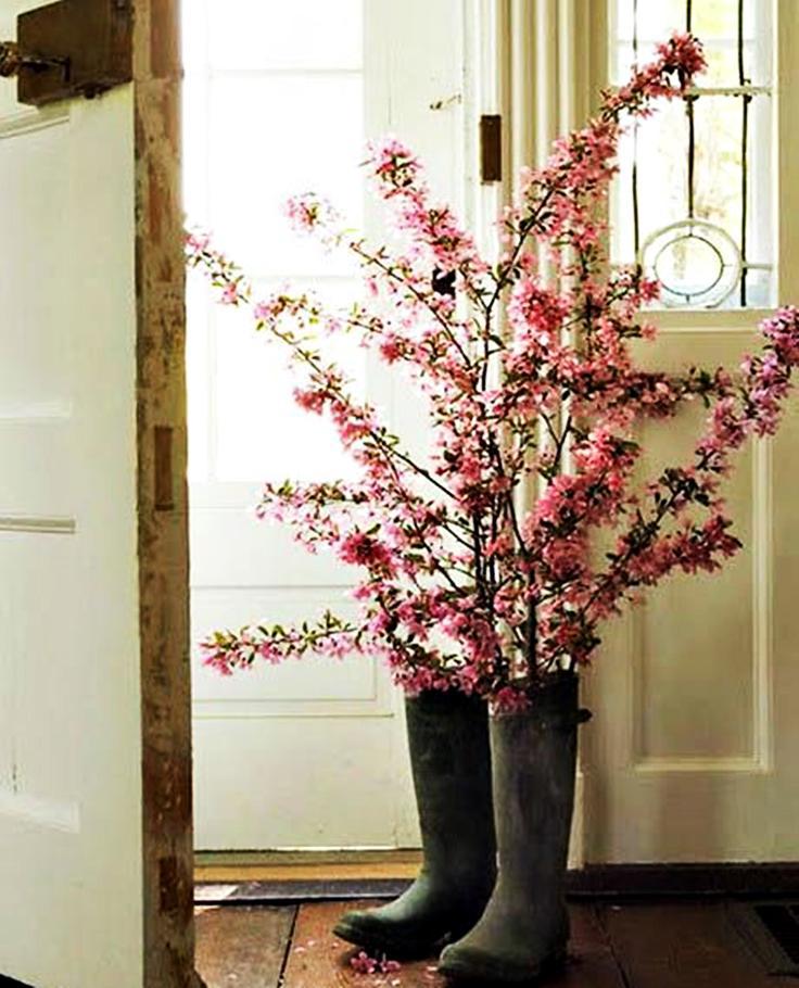 εξωτερικοί χώροι 1