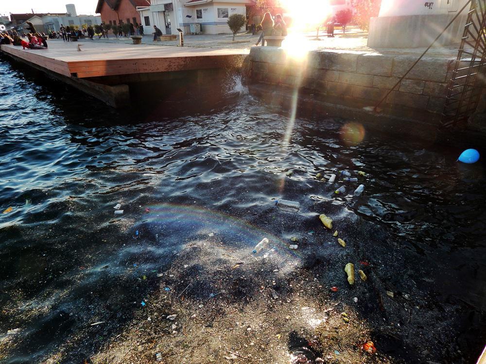 ρύπανση στο λιμάνι, θερμαικός
