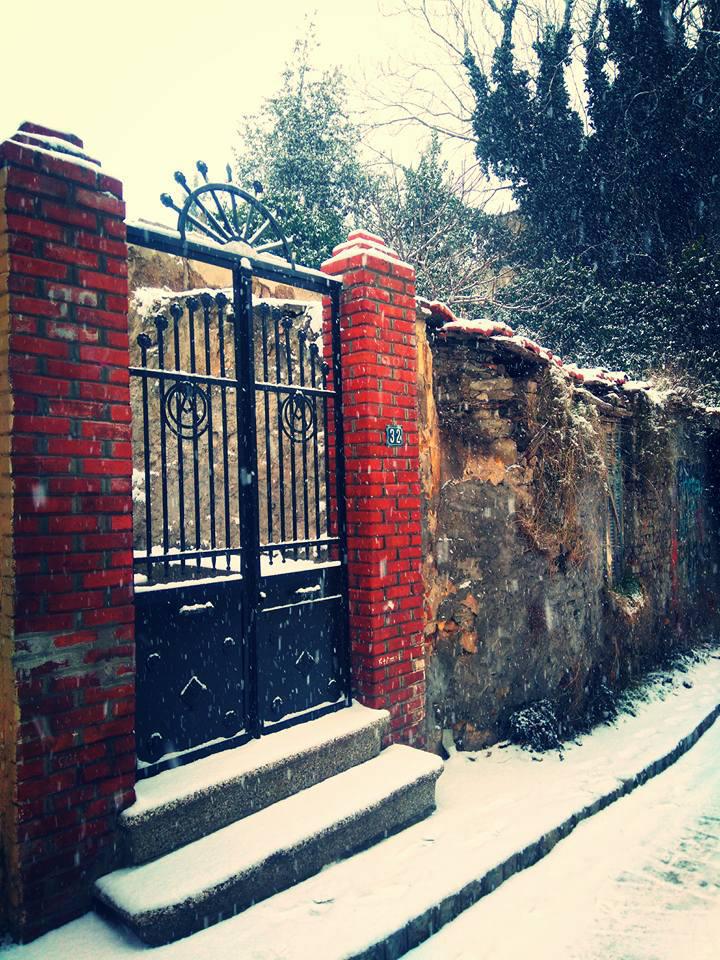 στελιοςβλαχος3