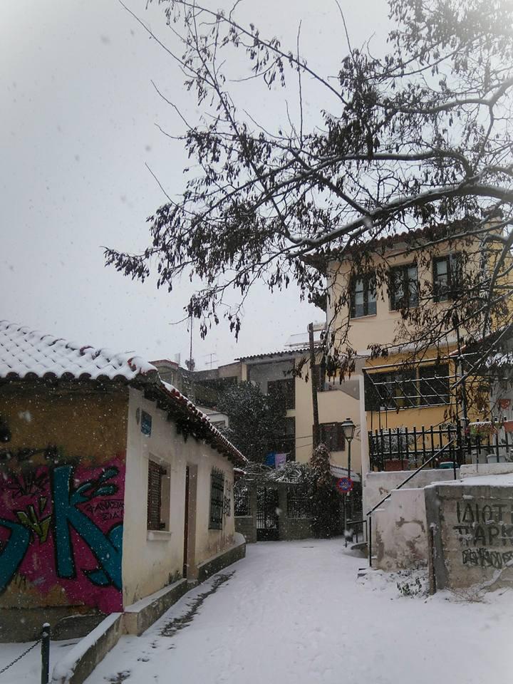 στελιοςβλαχος8