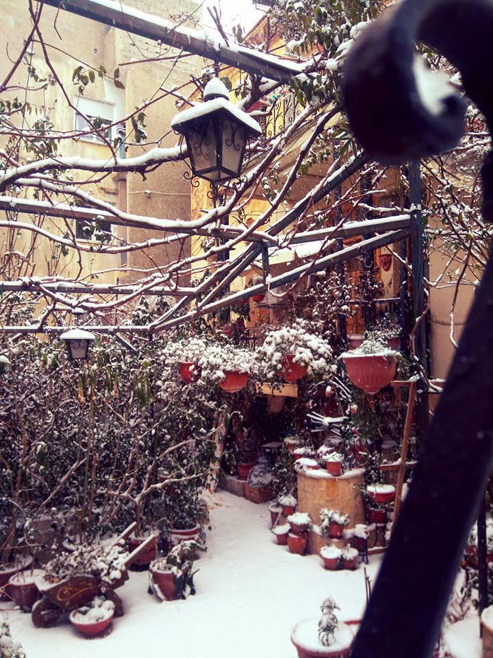 στελιος βλαχος5