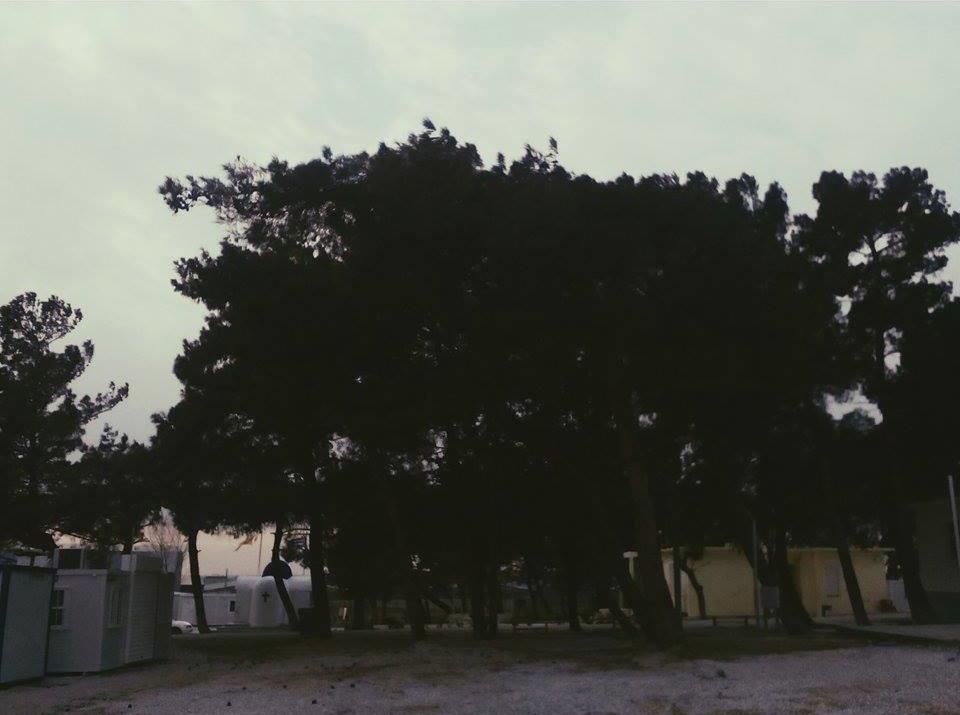 στρατόπεδο 4