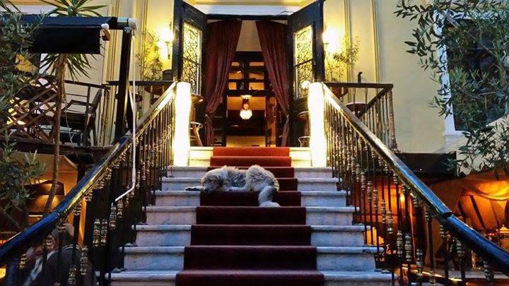 το δέντρο στο μπαρ 1