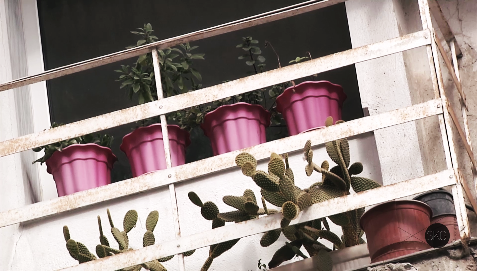 φραγκομαχαλάς 3