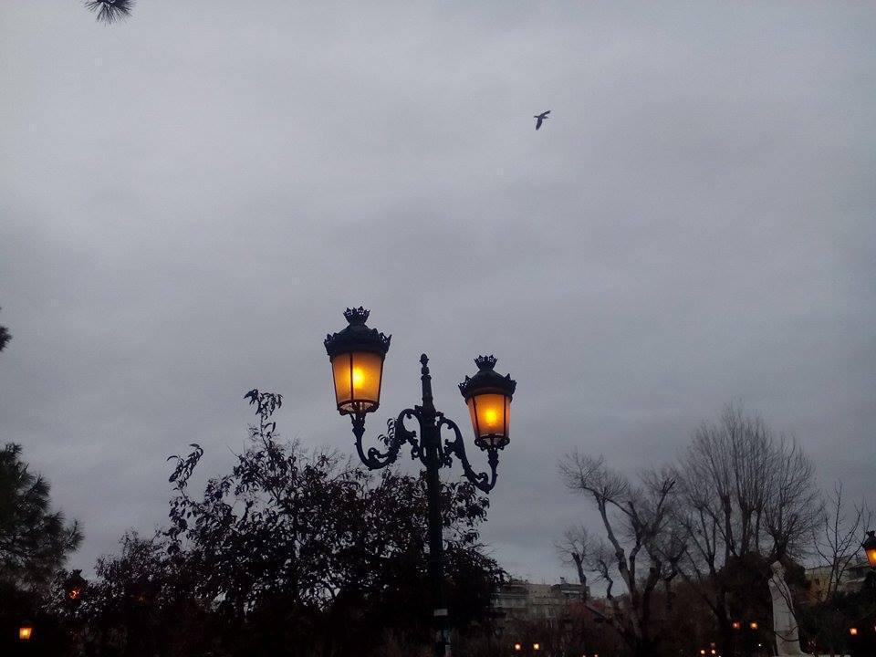 φώτα βενιζέλου 3