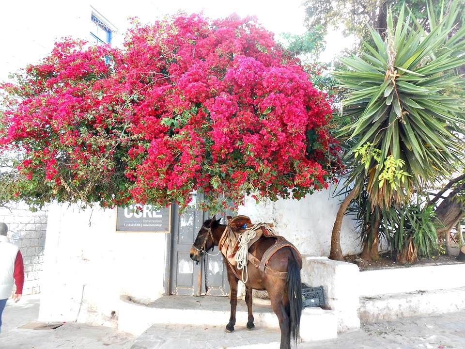 ύδρα πάσχα 1